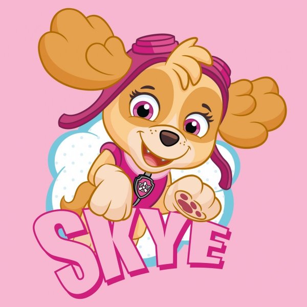 Paw Patrol Skye handduk 30x30cm